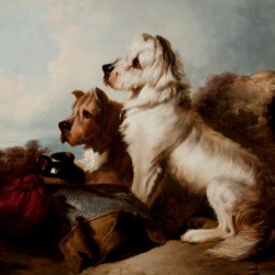 Two dogs guarding the fish